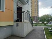 Пинта