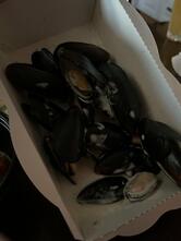 Мидийное место