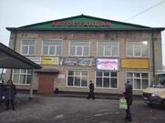 Брусника