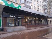 Coffee bean
