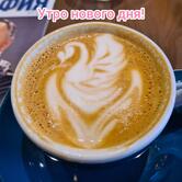 Coffee Bloom
