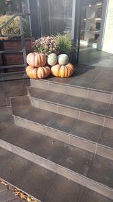 Мишель Бистро