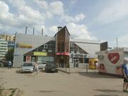 Окунь