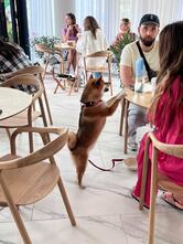 La Raquette by Pinskiy&Co