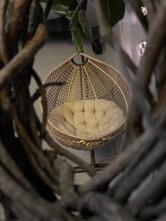 БрикВуд Перл