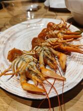 Моя Раковарня