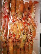 Ristorante Compreso Iva