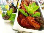 Gelateria Gelo Sia Lido di Ostia