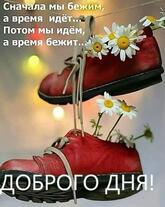 Пицца Топпинг