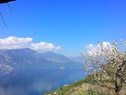 Trattoria Bar Belvedere