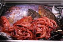 I Gaballo - Complici del Gusto