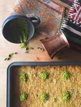 MiddlEats Food Project