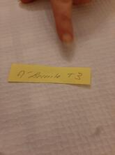 la cuillère en bois