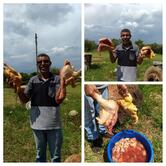 Bar/Lanchonete do Bigode