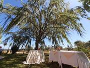 Agriturismo Fonte Maggio