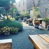 Brasserie Welkom Thuis