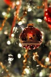 Agriturismo Campagnola