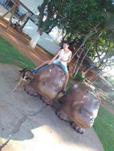 Restaurante Rede Frango Assado - Roseira