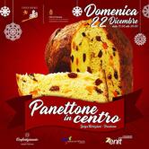 Polo nord - Frosinone Alta