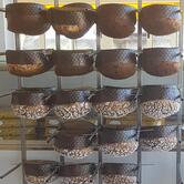 Gran Bar Cavallo Gioacchino