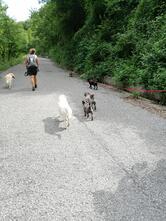 Ristorante Pizzeria Allo Chalet