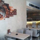 Coffee & Wine Bar BACCHUS