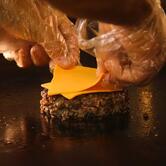 Burgonauta Recife PE