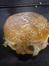 Favorito's Lanches Castro PR