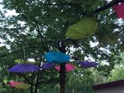 The Living Mirandola