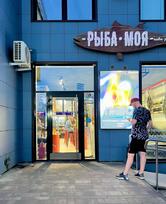Рыба моя
