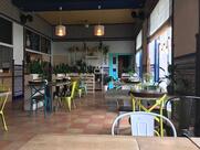 Катька-Запеканка