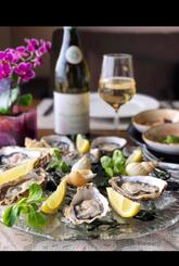 Кафе-бар Носорог