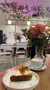 Ранняя пташка