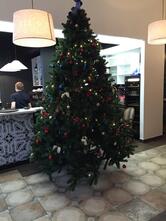 Квартира № 162