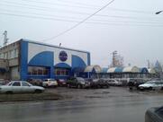 Золотой Телец