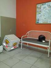 Fornace Pizzaria Delivery - Estados Unidos