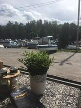 Терраса Фэмили