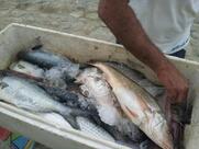 Pousada e Restaurante Santa