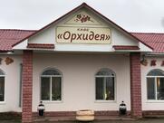 Орхидея