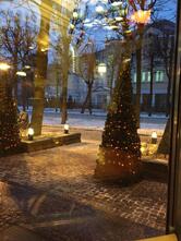 Мандариновый Гусь