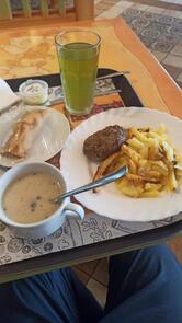 Мандариновый Гусь