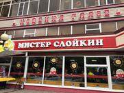 Мистер Слойкин