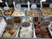 Madalê Gelato Artesanal