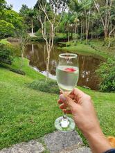 Restaurante Quinta dos Manacas