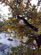 MONIKA Centrum Hotels