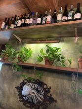 Marymo Svoyeyu Spravoyu