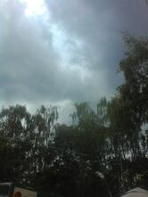 у Березки