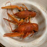 "ИВАН РАКОВАР"