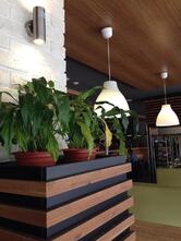 Большой куш