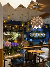 Cedro